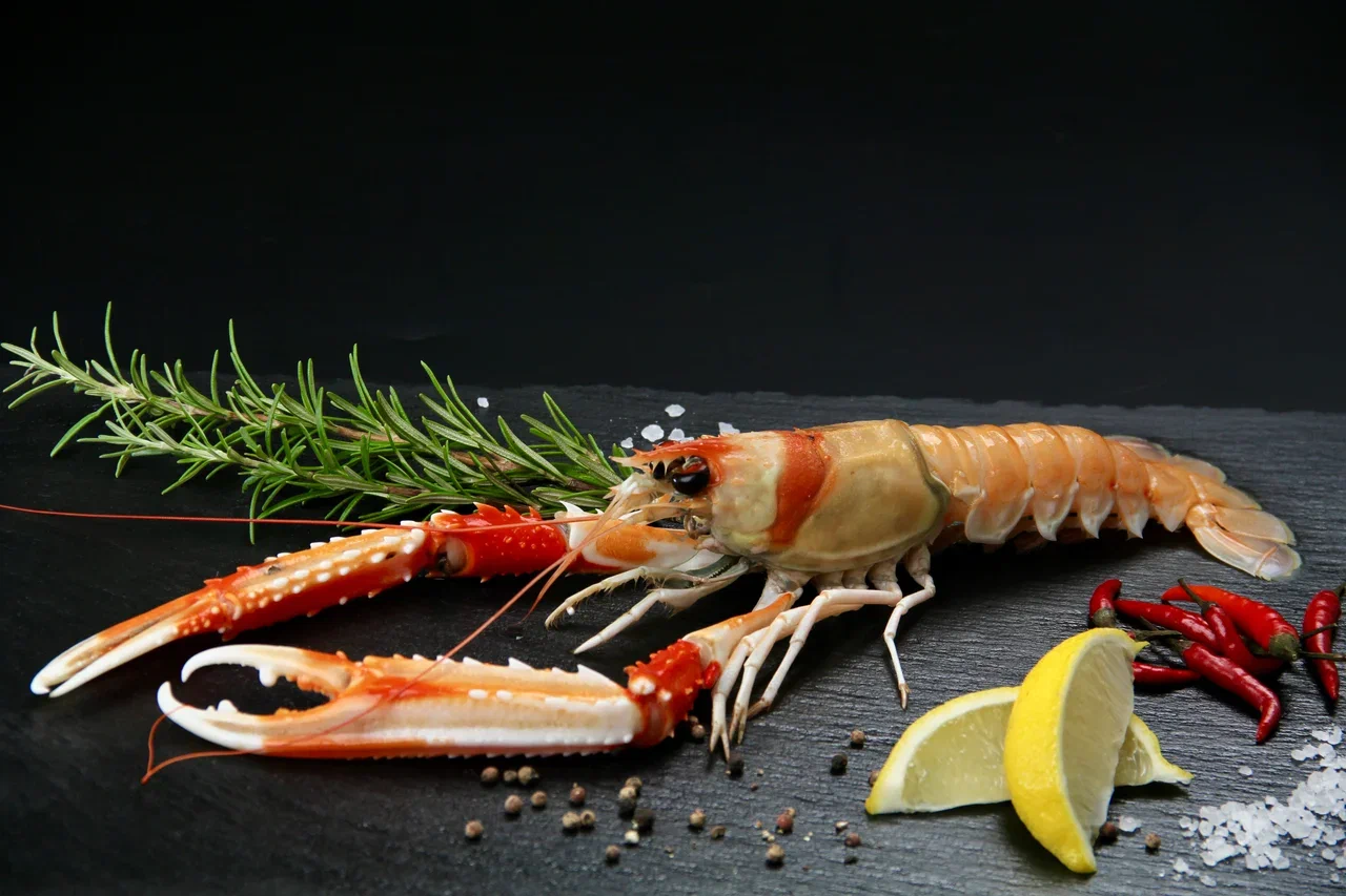 Морепродукты