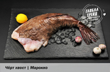 &nbsp;Морской черт 