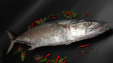 &nbsp;Макрель королевская